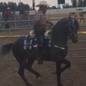 Meet your Posher, Luis ponce